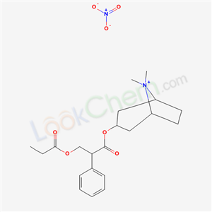 Click to see the large picture