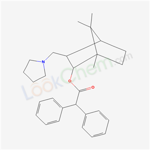 Click to see the large picture