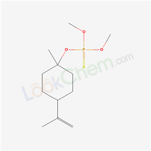 Click to see the large picture