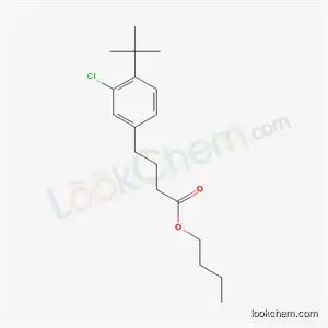Molecular Structure of 32808-64-3 (butyl 4-(4-tert-butyl-3-chlorophenyl)butanoate)