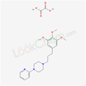 Click to see the large picture