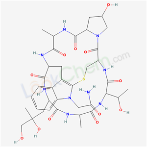 Click to see the large picture