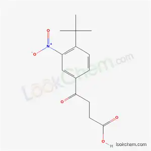 4-(4-tert-butyl-3-nitrophenyl)-4-oxobutanoic acid