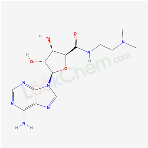 ADENOSINE-5&prime;-(N-(2-(DIMETHYLAMINO) ETHYL)) CARBOXAMIDE