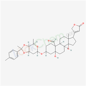 Click to see the large picture