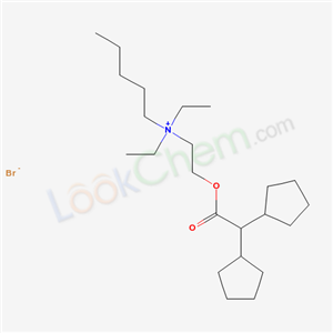 Click to see the large picture