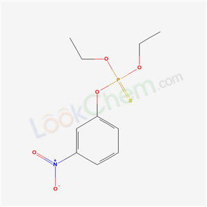 Click to see the large picture