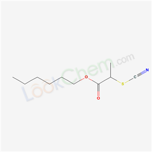 Click to see the large picture