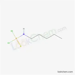 Molecular Structure of 5395-69-7 (pentylphosphoramidothioic dichloride)