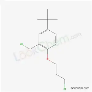 4-tert-butyl-2-(chloromethyl)-1-(3-chloropropoxy)benzene