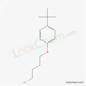 1-tert-butyl-4-(4-chlorobutoxy)benzene