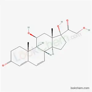6- 데 하이드로 코르티솔
