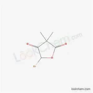 5-브로모-3,3-디메틸-옥솔란-2,4-디온