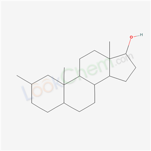 Click to see the large picture