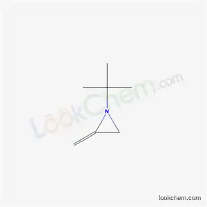 Molecular Structure of 21384-36-1 (1-tert-butyl-2-methylideneaziridine)