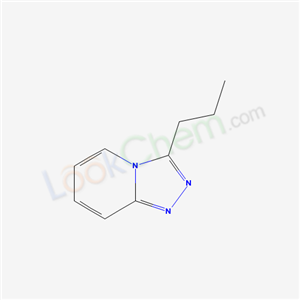 3-propyl-[1,2,4]triazolo[4,3-a]pyridine