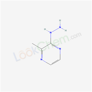 (3-methylpyrazin-2-yl)hydrazine cas  19848-54-5
