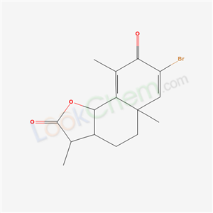 Click to see the large picture