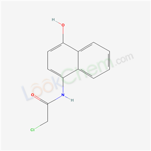 2-chloro-N-(4-hydroxynaphthalen-1-yl)acetamide cas  6683-64-3
