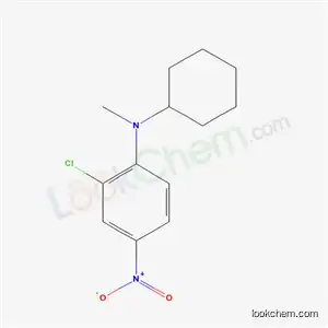 2-클로로-N-시클로헥실-N-메틸-4-니트로아닐린