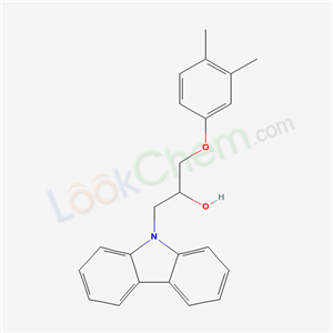 Click to see the large picture