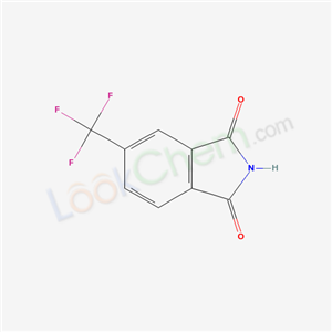 5-(trifluoromethyl)isoindole-1,3-dione cas  1997-41-7