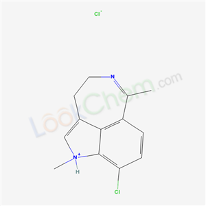 Click to see the large picture