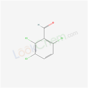 Click to see the large picture