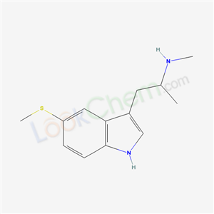 Click to see the large picture