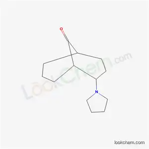 Molecular Structure of 6335-43-9 (2-(1-Pyrrolidinyl)bicyclo[3.3.1]nonan-9-one)