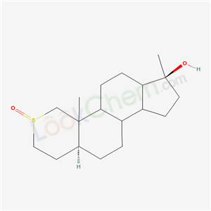 Click to see the large picture