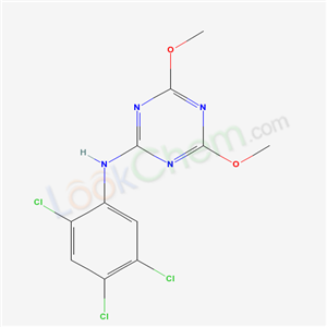 Click to see the large picture