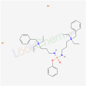 Click to see the large picture