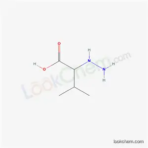 2-히드라지노-3-메틸부탄산