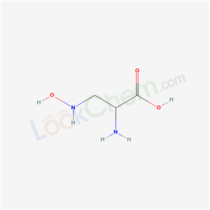 2-amino-3-(hydroxyamino)propanoic acid cas  17136-56-0