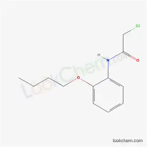N-(2-Butoxyphenyl)-2-chloro-acetamide