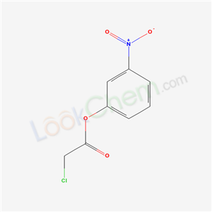 (3-nitrophenyl) 2-chloroacetate cas  19921-01-8