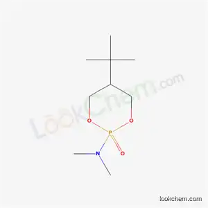 Molecular Structure of 39536-49-7 (5-tert-butyl-N,N-dimethyl-1,3,2-dioxaphosphinan-2-amine 2-oxide)
