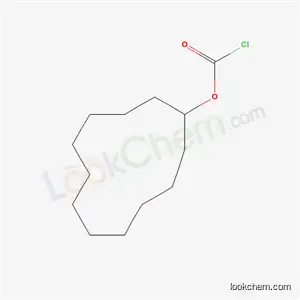 Molecular Structure of 65676-18-8 (Cyclododecyl chloroformate)