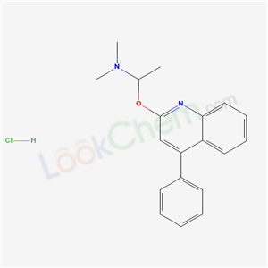 Click to see the large picture