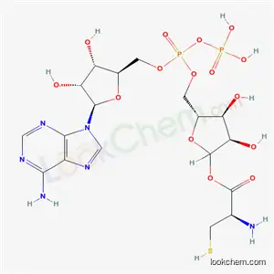 ADP-리보실시스테인
