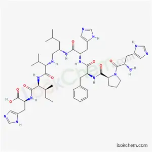 안지오텐시노겐(6-13)