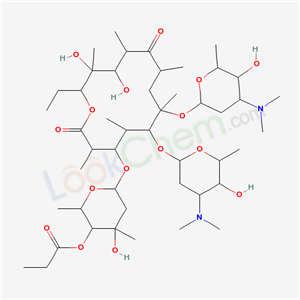 Click to see the large picture