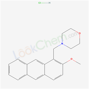 Click to see the large picture