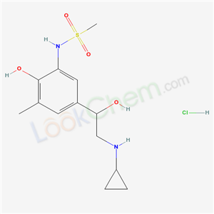 Click to see the large picture