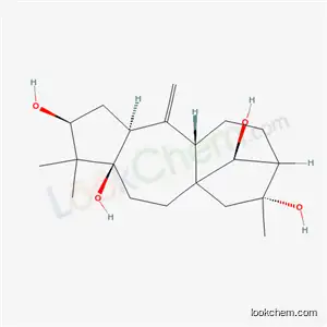 Molecular Structure of 59236-86-1 ((3beta,14S)-grayanotox-10-ene-3,5,14,16-tetrol)