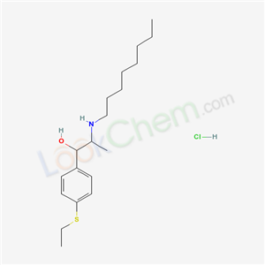 Click to see the large picture