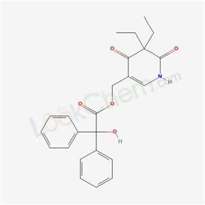 Click to see the large picture