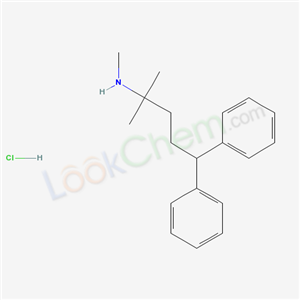 Click to see the large picture