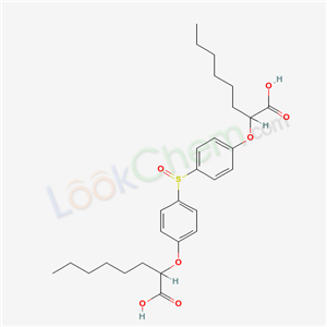 Click to see the large picture